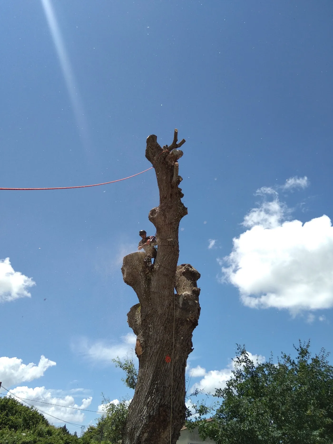 Équipe de Sev'Elag au sol sécurisant la zone de chute lors d'un abattage